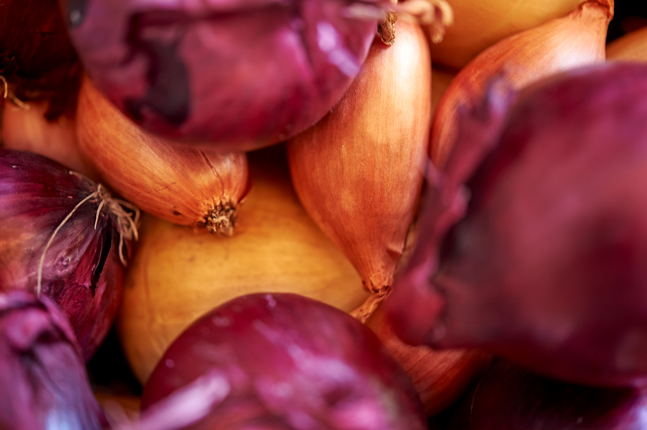 Onions closeup