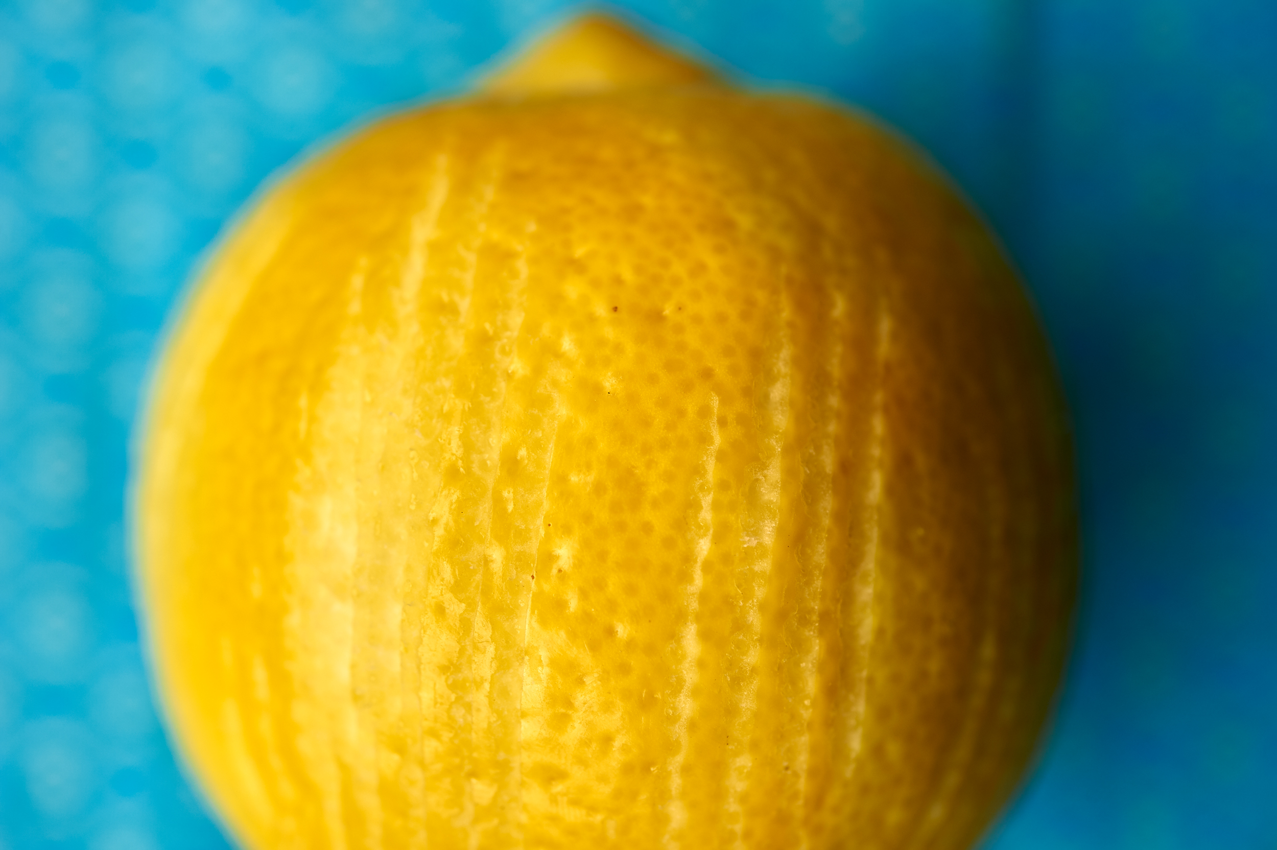 Lemon close up
